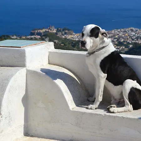 Paradiso
